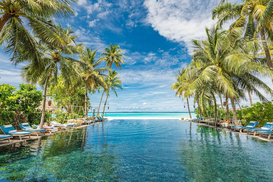Pool med liggestole mellem palmer og udsigt til havet på Sun Siyam Iru Fushi