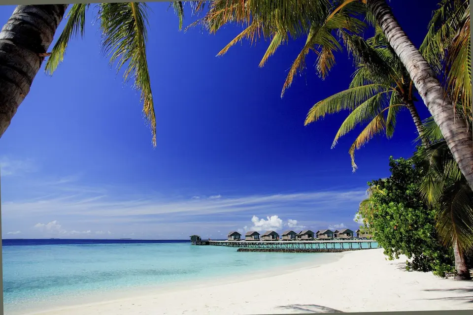 Strand med palmer og udsigt til vandvillaer på Centara Ras Fushi