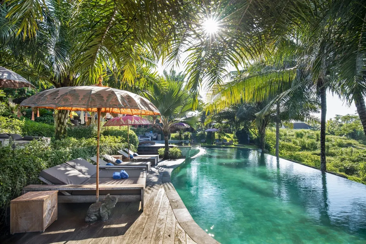 Fællespool med liggestole, parasoller og palmer på Blue Karma Dijiwa Ubud.
