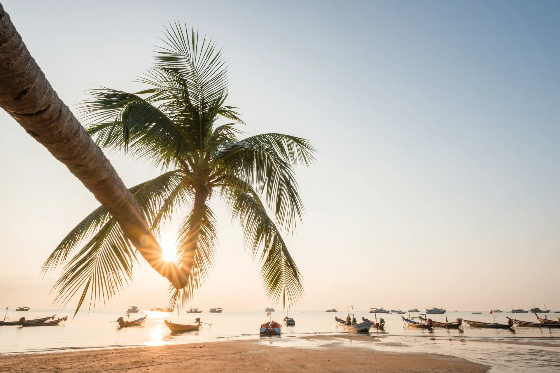 Tropisk landskab med strand paa koh tao med vuggende fiskerb