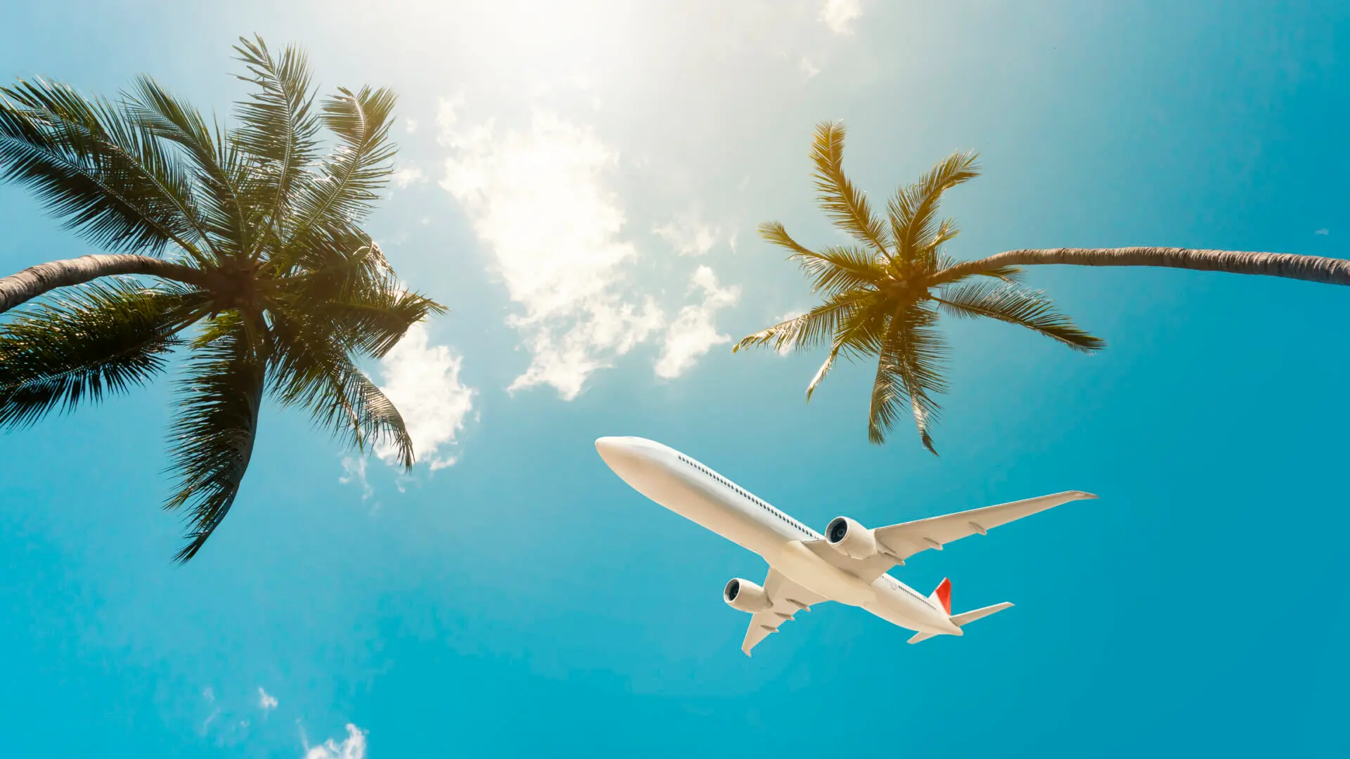 Fly som ankommer til fantastiske Thailand