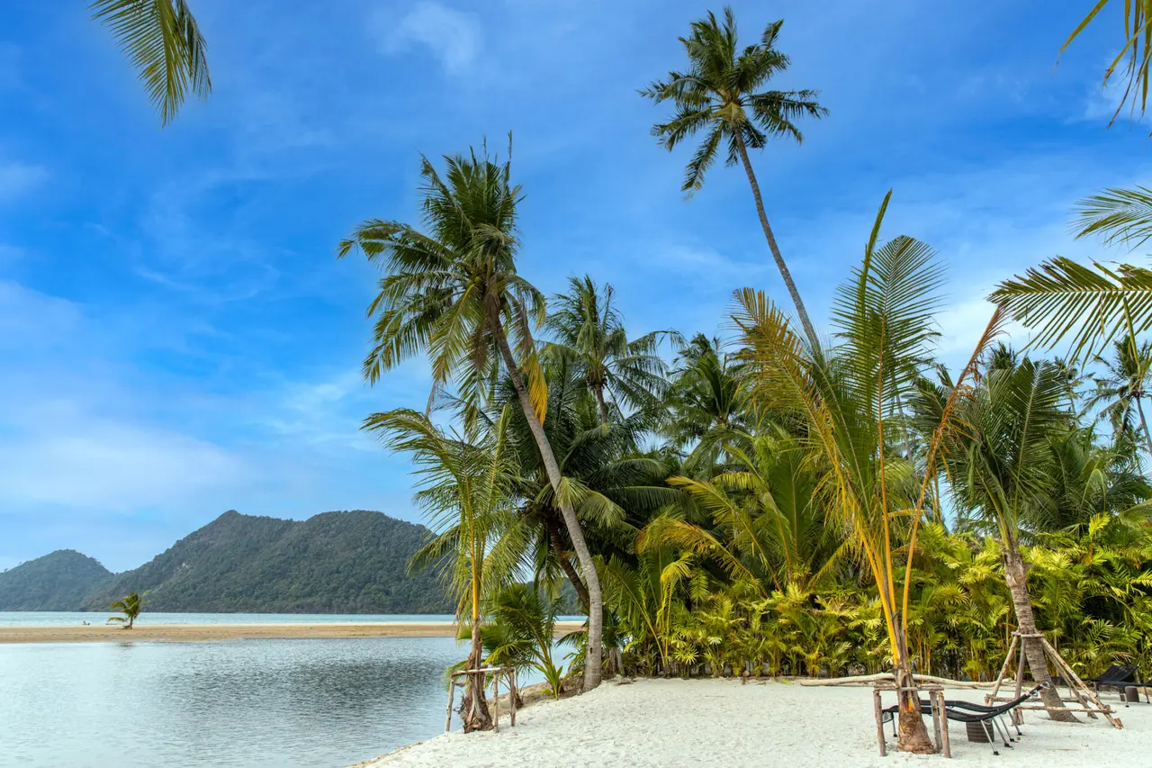 Koh chang fin sandstrand med palmer