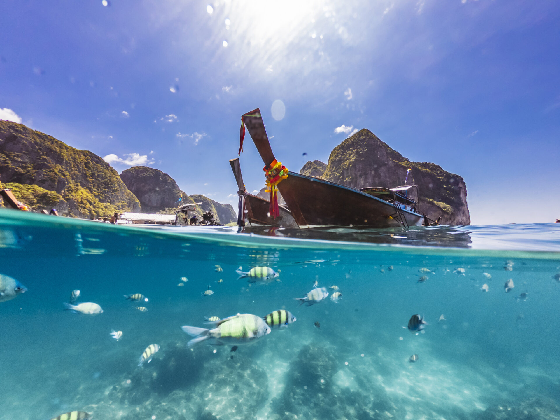 Phi Phi Island – billede 4
