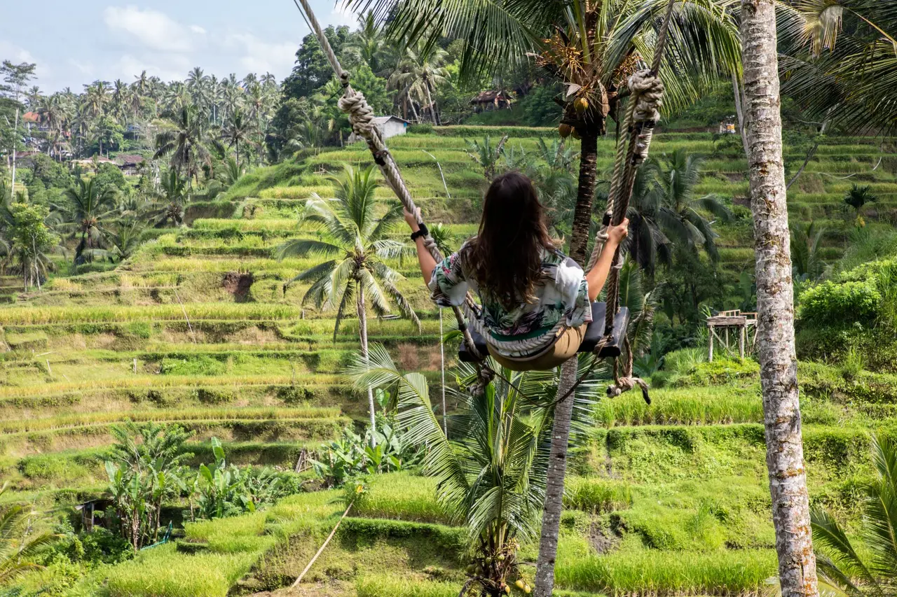 Kvinde gynger ved rismark ved ubud