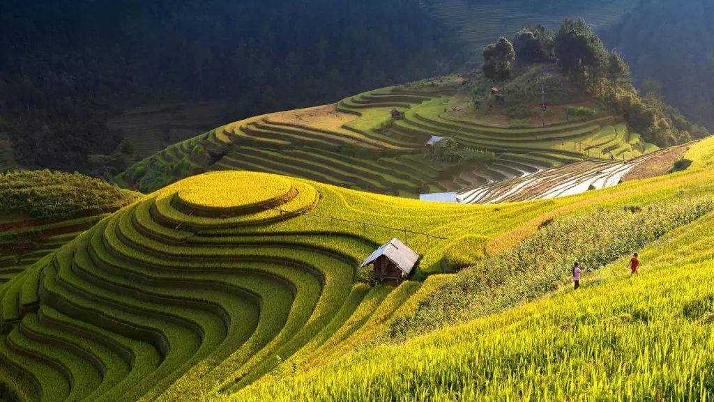 Sapa homestay