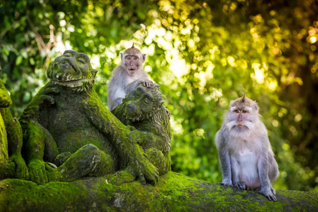 Istock
