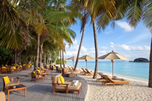 Liggestole og parasoller under palmer ved stranden på Sun Siyam Iru Fushi