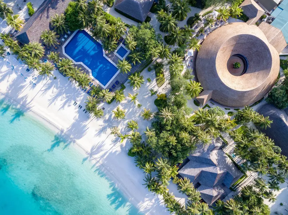Meeru island resort palmer og strand set oppefra