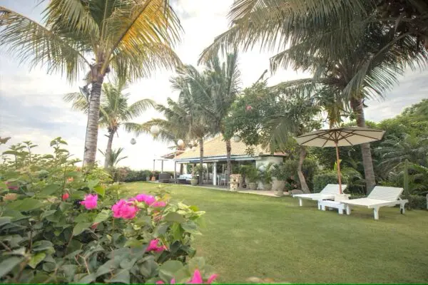 Mayo Resorts have med palmer, liggestole og blomstrende buske