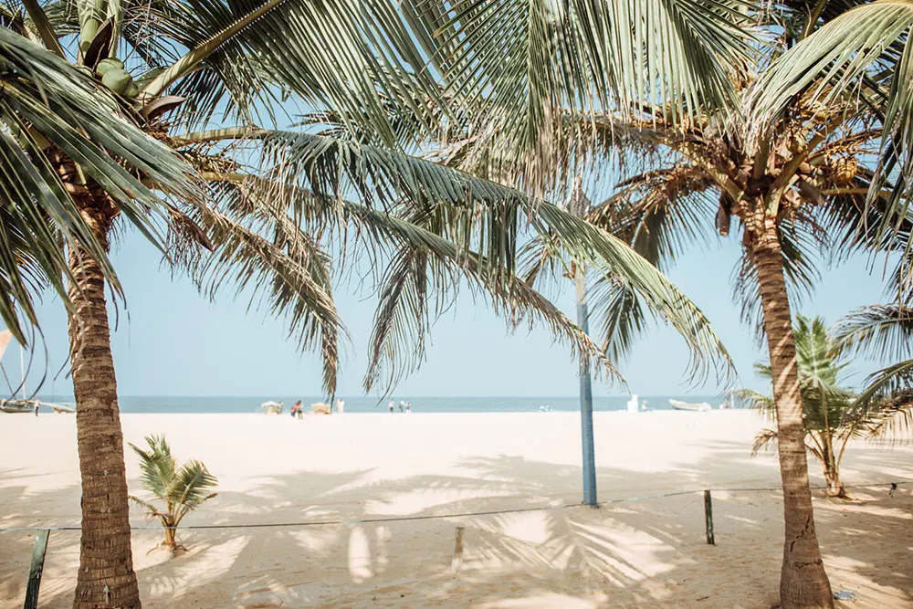 Palmer og sandstrand foran Goldi Sands Hotel i Negombo
