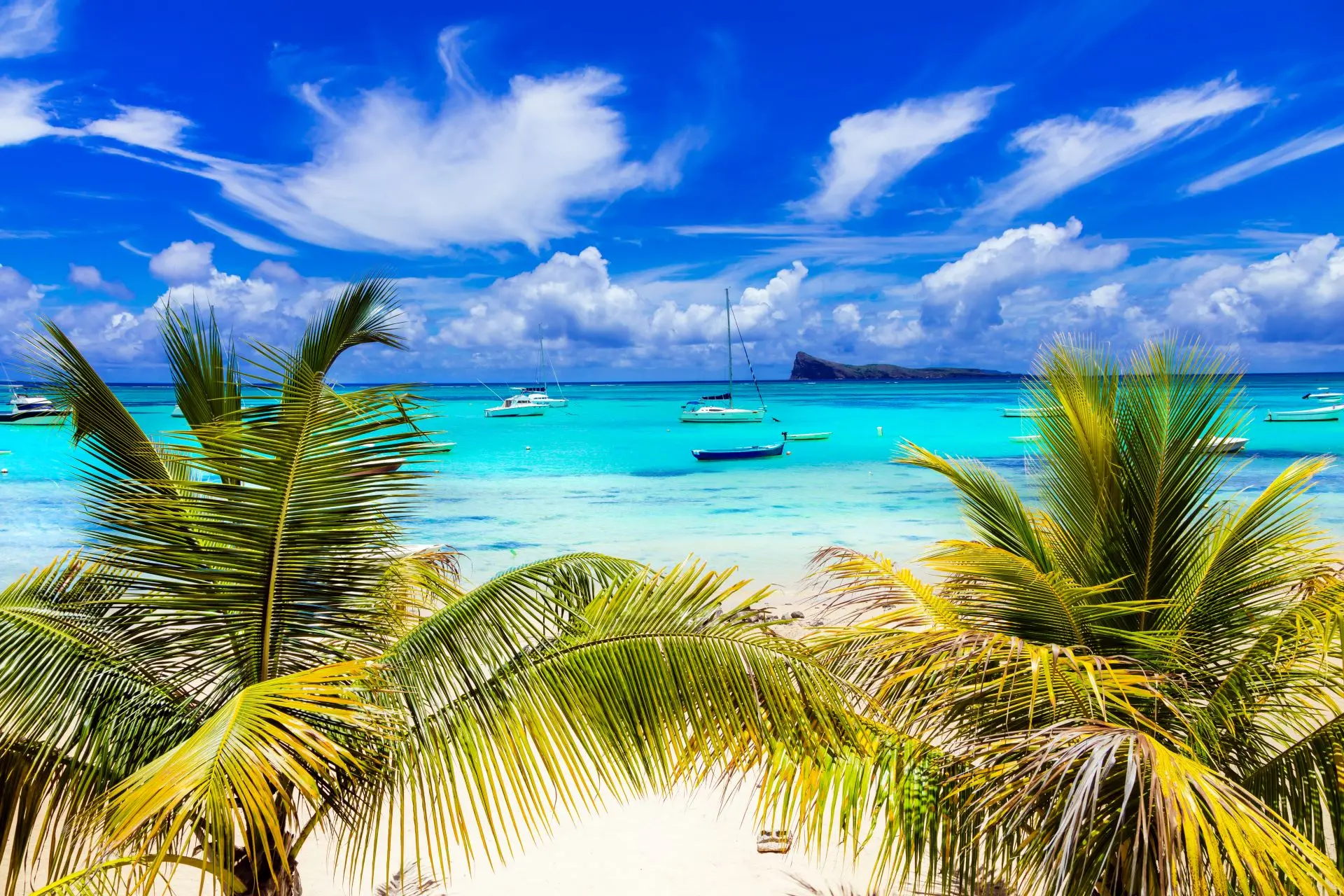 Bountystemning med strand og palmer paa mauritius