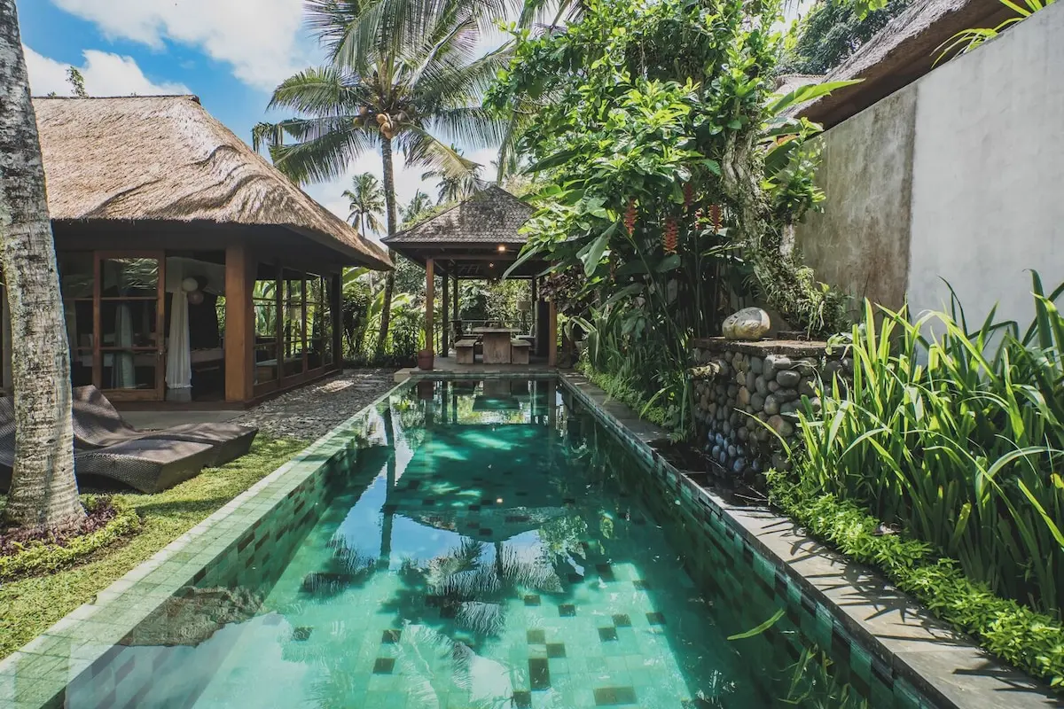 Pool mellem villaer og grønne planter ved Luwak Ubud