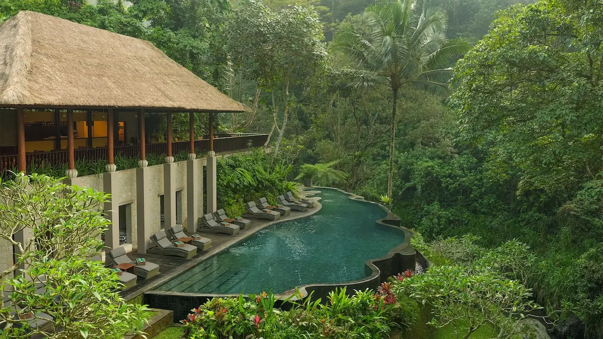 Pool med solsenge omgivet af tæt grøn bevoksning på Maya Ubud Resort & Spa
