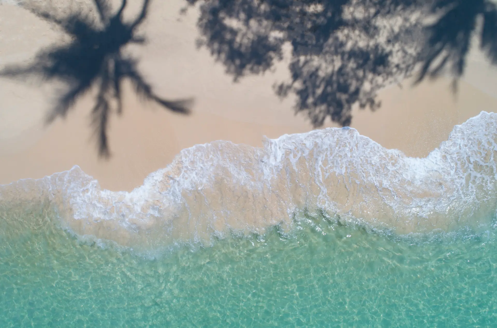 Strand paa koh mak med skygger fra palmer