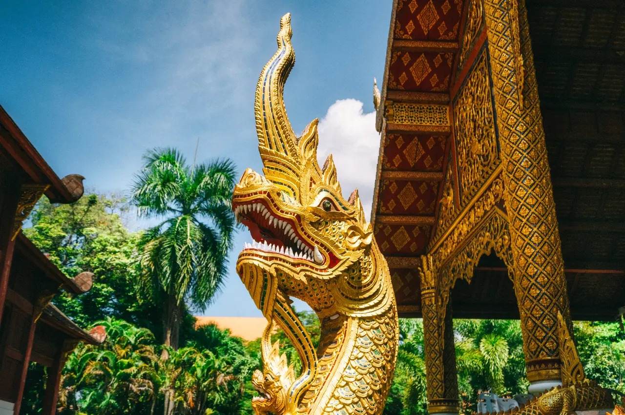 Drage ved wat phra singh templet i chaing mai