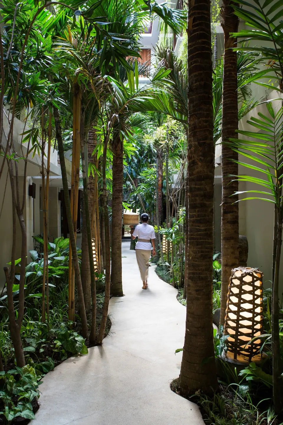 Gangsti mellem palmer og hotelbygninger på Ubud Village Hotel
