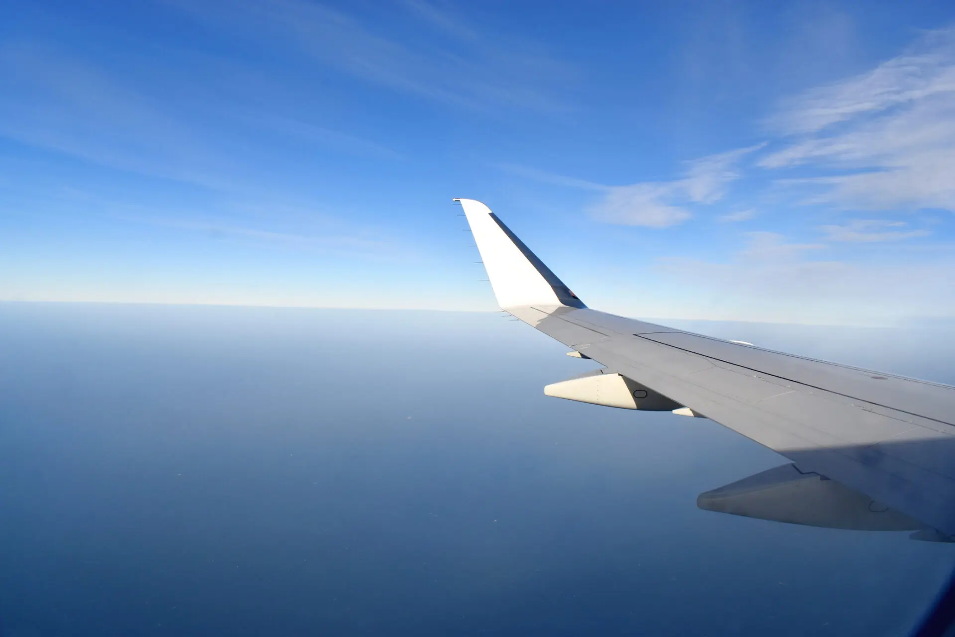 Fly vinge