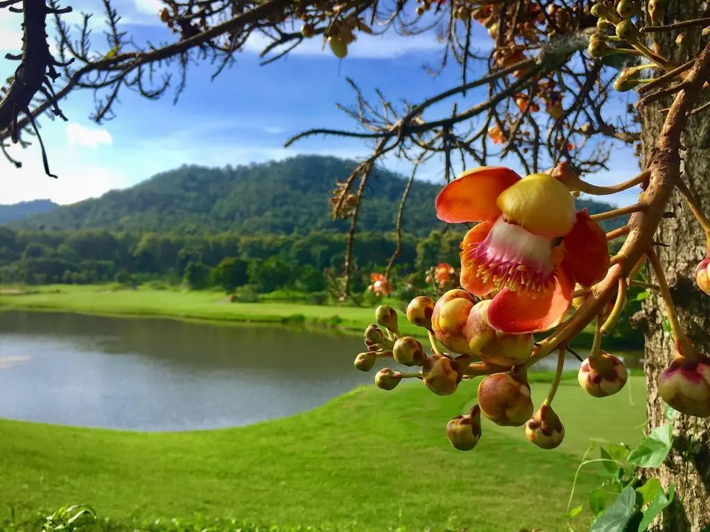 Gassan Khuntan Golf Spa