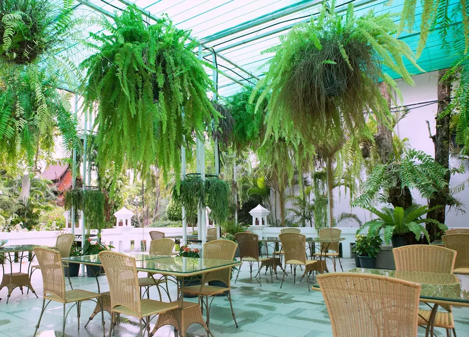 Restaurant med hængende planter i loftet på Plaza Hotel, Chiang Mai