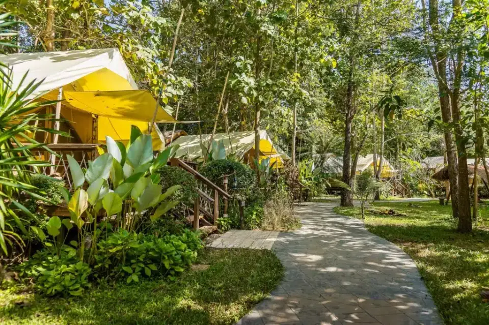 Junglesti, der fører til Hintok River Camp