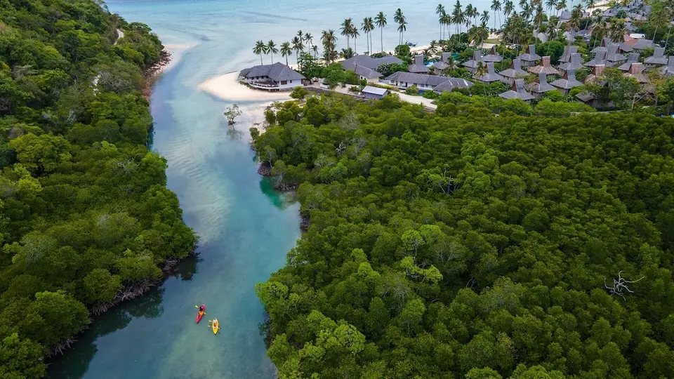 Saii Phi Phi Island Village Beach Resort med mangrove og kajakker.