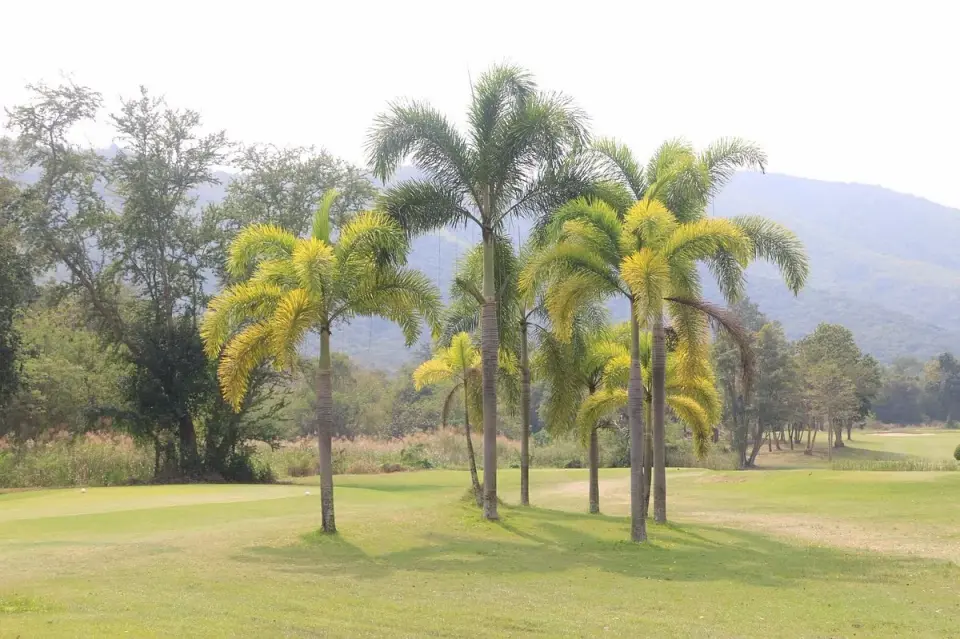 Kaeng Krachan Golf Country Club Hua Hin