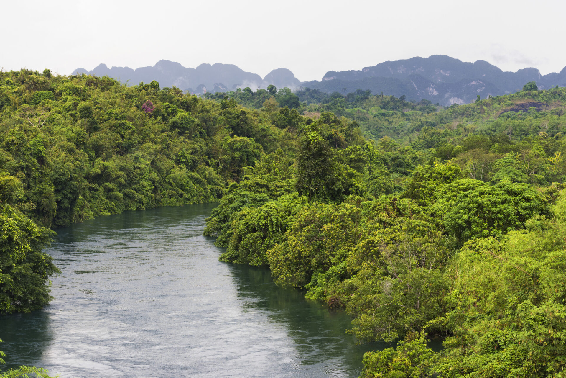 Khao Sok National Park – et højdepunkt venter – billede 5