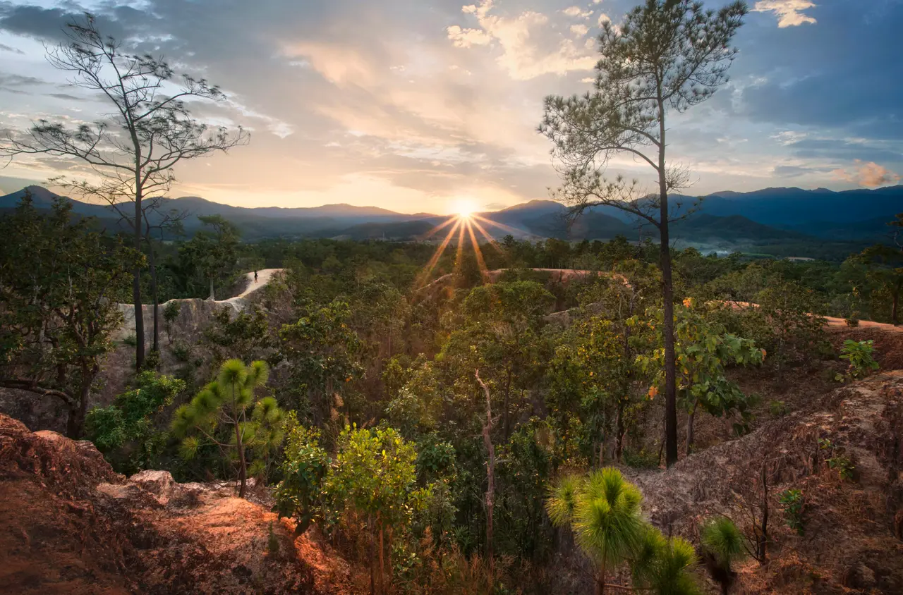 Pai slugt Kong Lan Maehongson