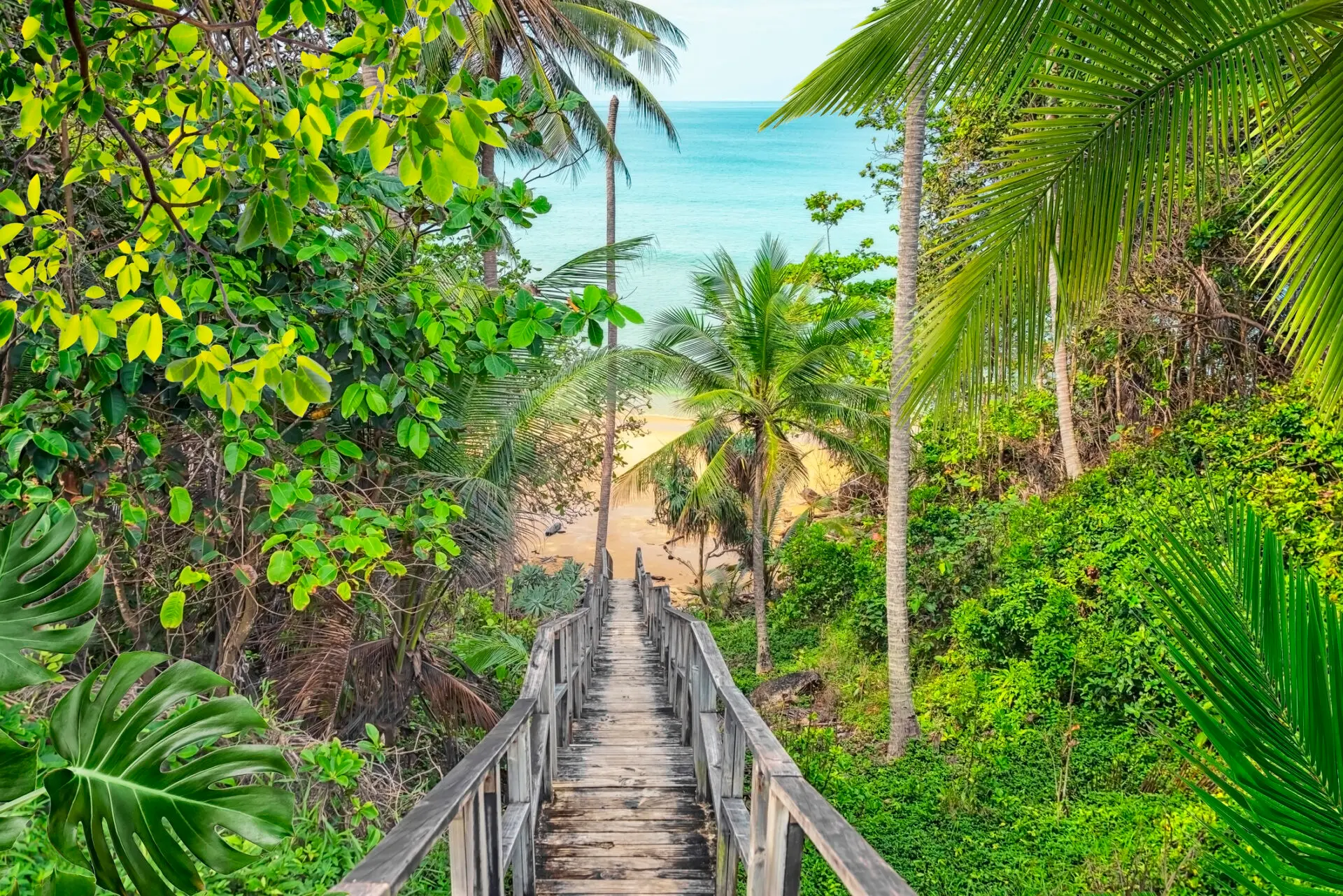 Phuket sti ned til stranden gennem jungle lignende vegetation