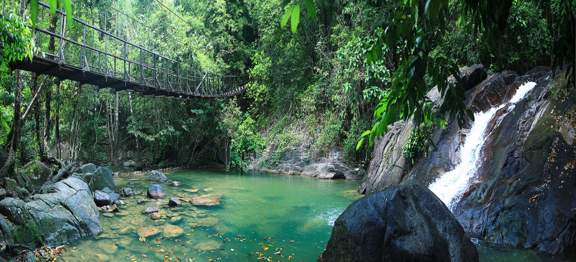 Khao Sok National Park – et højdepunkt venter – billede 4