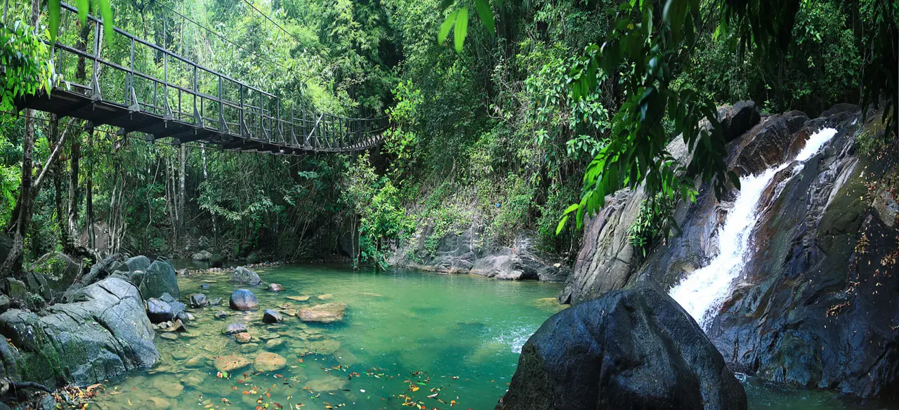 Haengebro i Khao Sok National Park