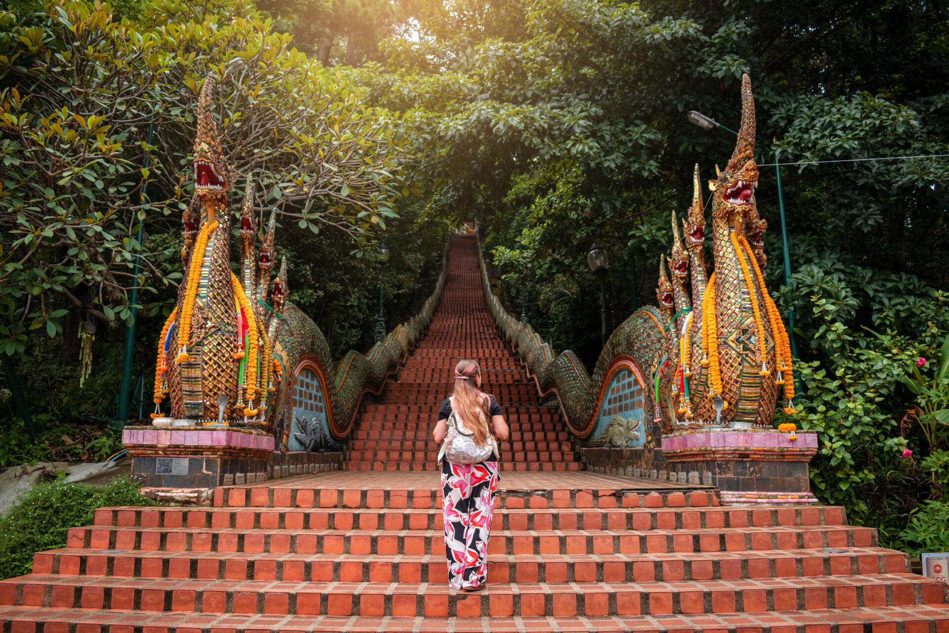 Oplev buddhistisk filosofi i Chiang Mai – billede 3