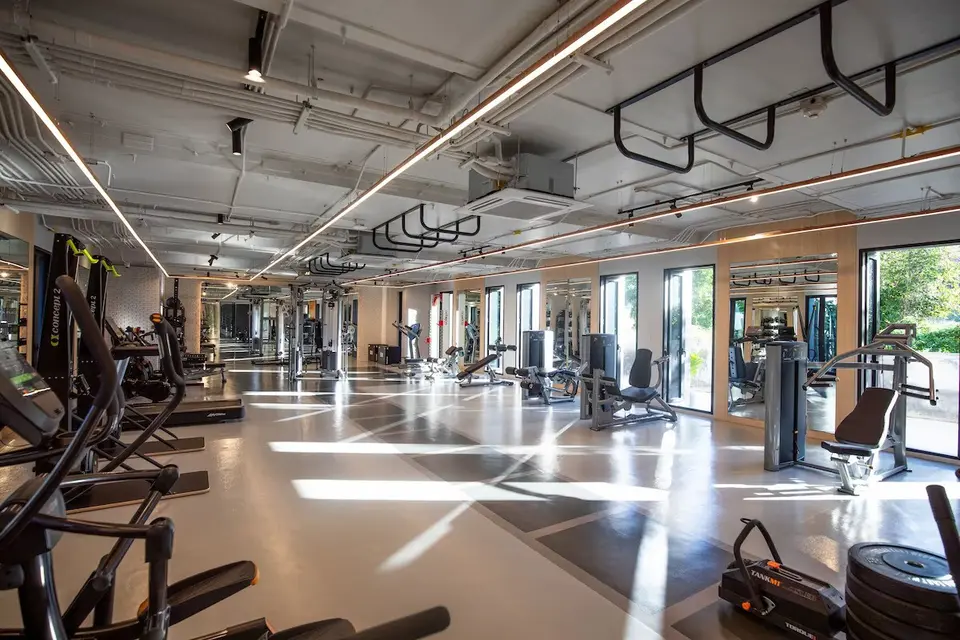 Lyst fitnessrum med træningsmaskiner, spejle og store vinduer.
