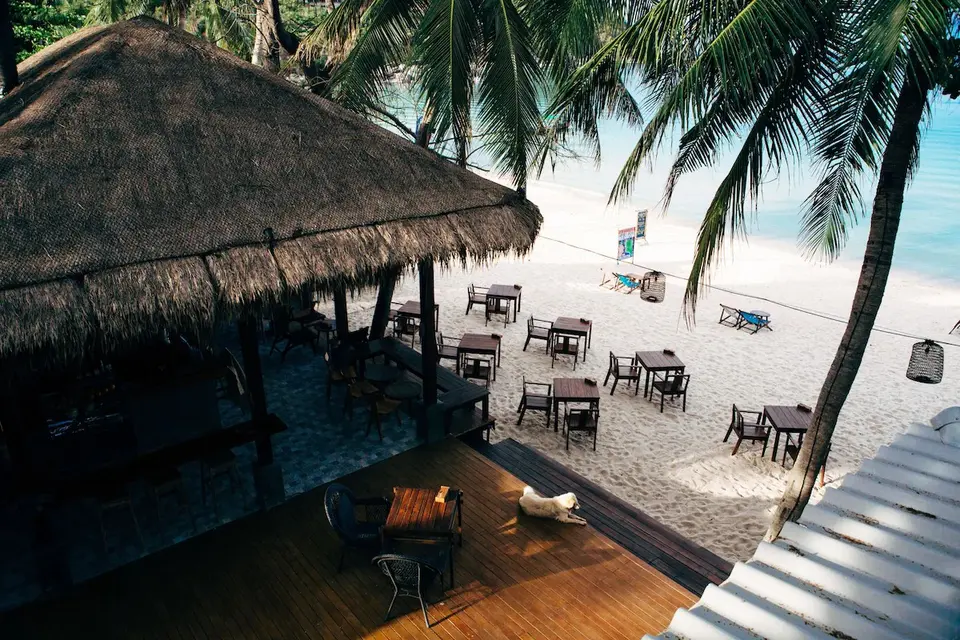 Hyggelig strandrestaurant med træmøbler og stråtag på sandet i Thailand, hvor en hund hviler i skyggen under palmerne.