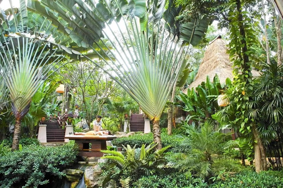 Pimalai Resort and SPA behandling ved palmetraeer