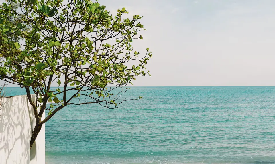 Kimpton Kitalay Samui trae bygget ind i muren ved havet