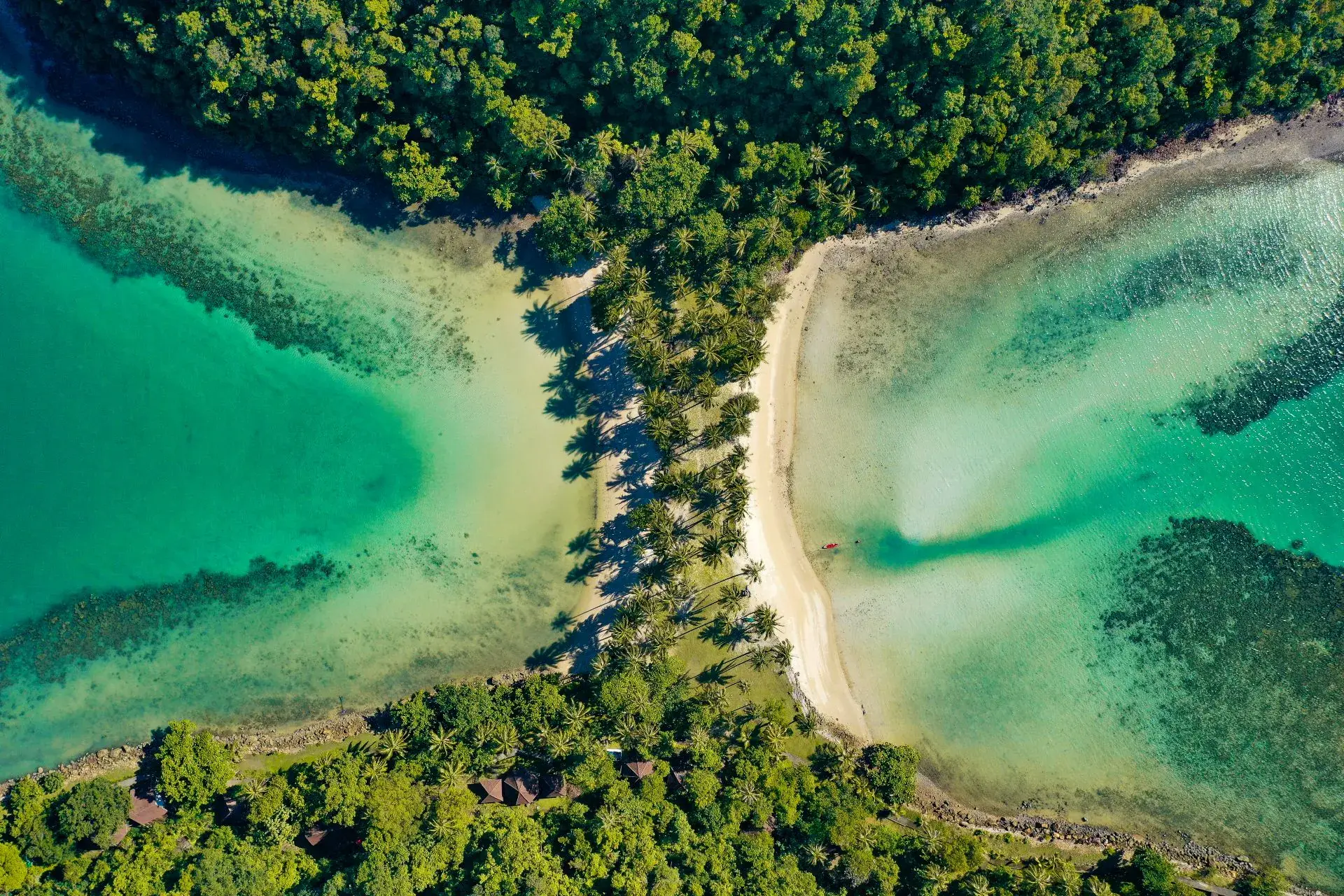Koh Ngam paa Koh Chang
