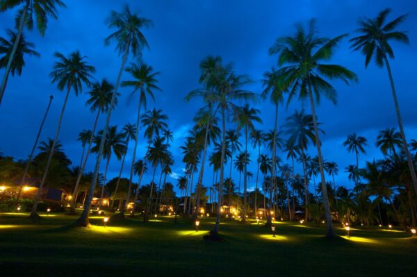 Koh Kood Beach Resort natbelysning på palmetræer