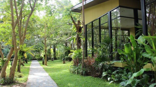 La Playa Resort Krabi havegang med træer og planter